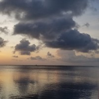 Arrival in Maldives Airport